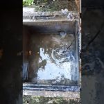 atasco en bajantes por raíces finas