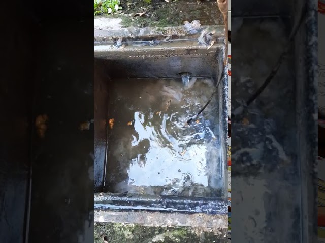 atasco en bajantes por raíces finas