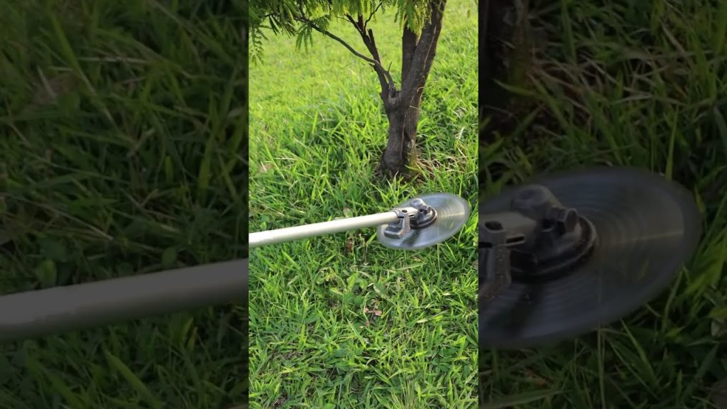 bloqueo de tuberías por raíces leñosas