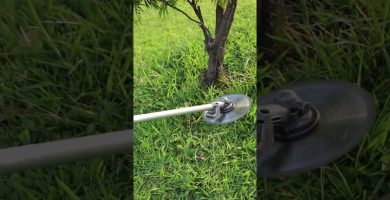 bloqueo de tuberías por raíces leñosas