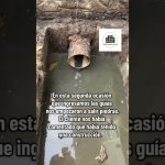 mantenimiento de desagües comerciales
