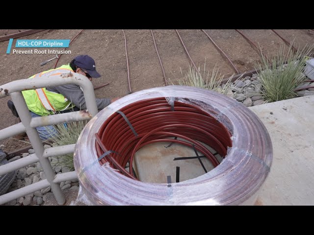 prevención de intrusión de raíces