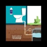 solución duradera a atascos por raíces