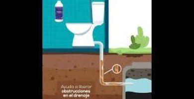 solución duradera a atascos por raíces