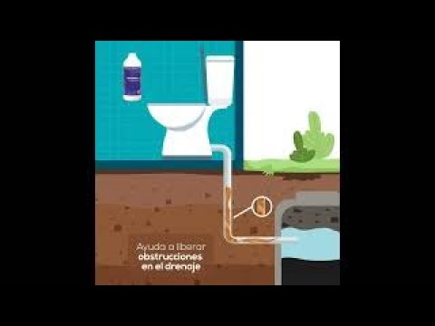 solución duradera a atascos por raíces